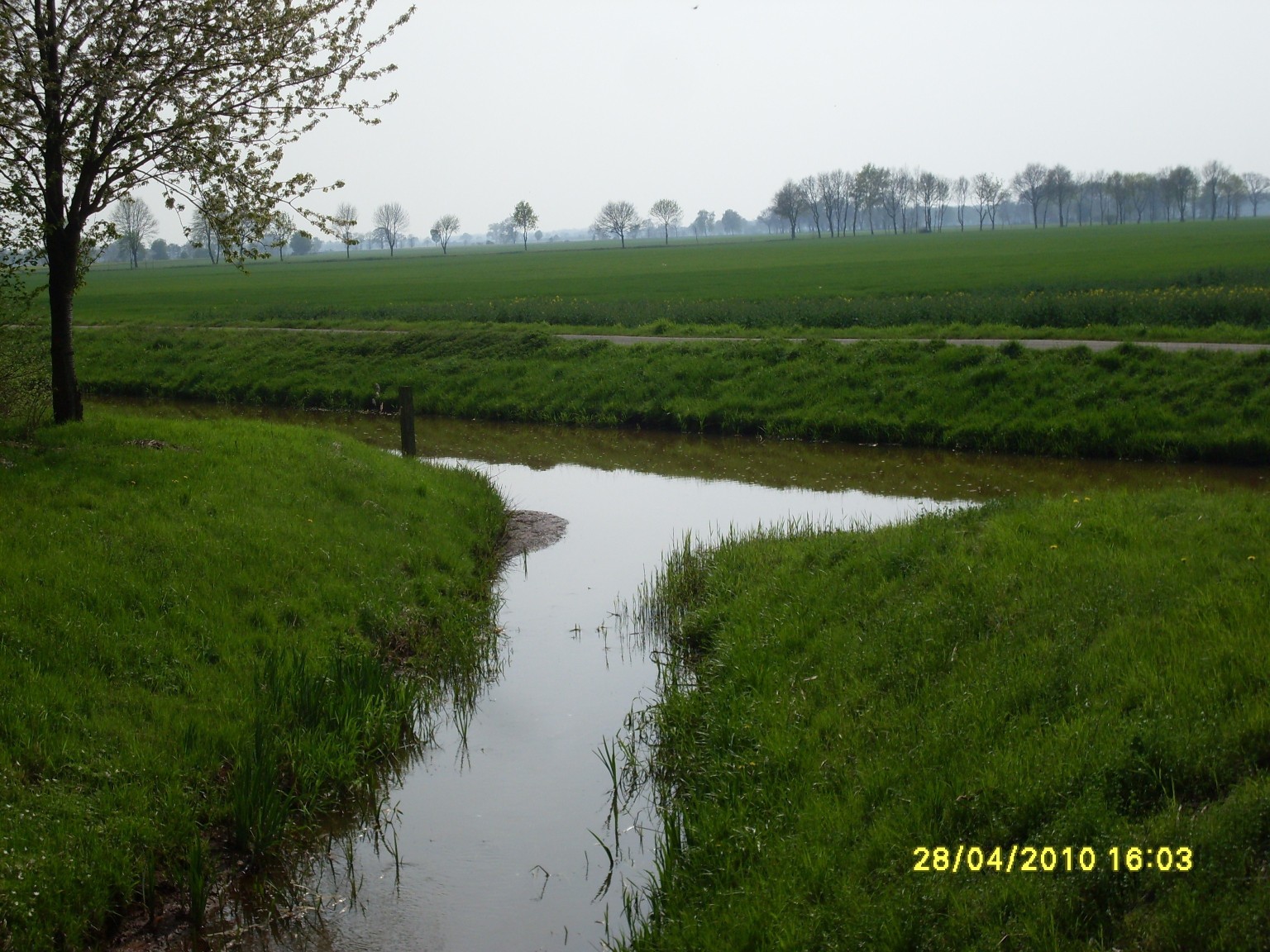 Abzweig Langhorst Kuhlengraben vom Sarninghuser Meerbach