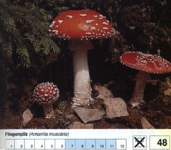 48_Fliegenpilz