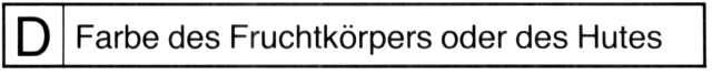 ../../D%20Farbe%20des%20Fruchtk%F6rpers.gif