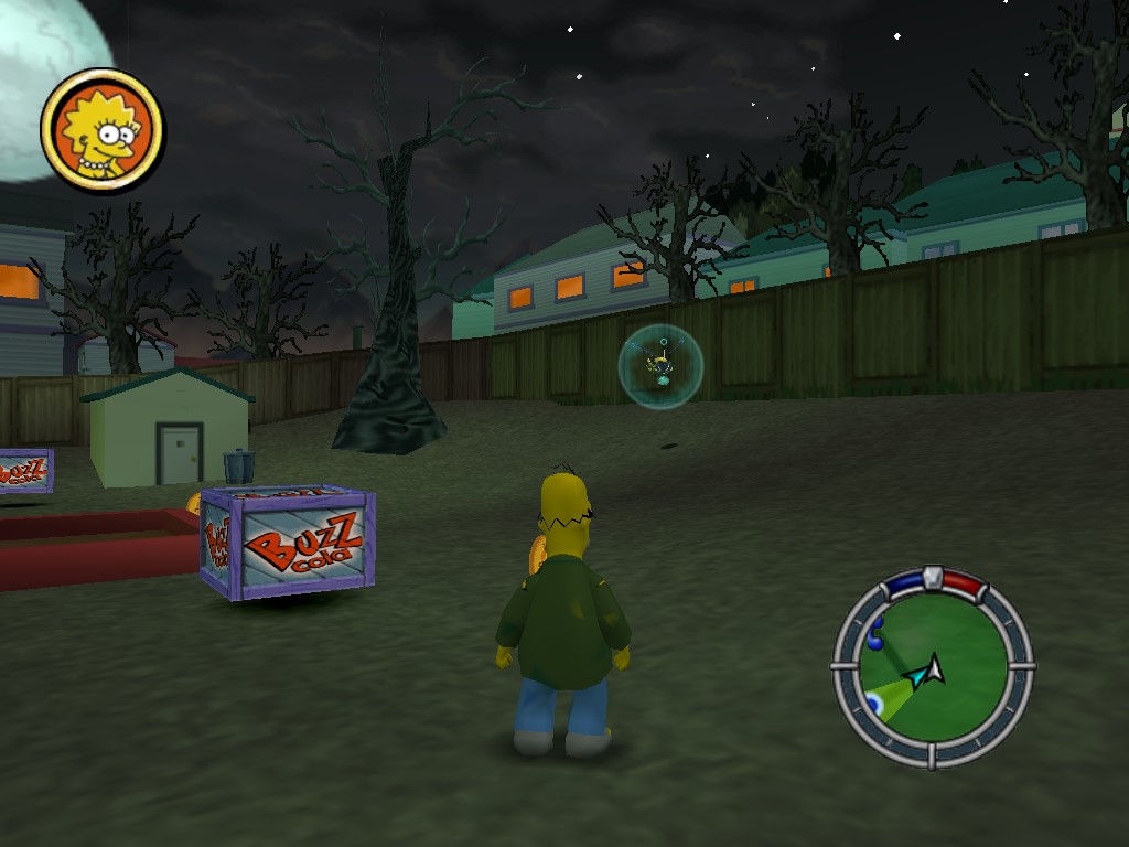 Kamera Wiggums Garten.jpg